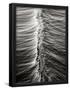 Essential Black