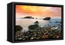 Canvas Black