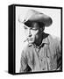 Lee Van Cleef-null-Framed Stretched Canvas