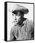 Lee Van Cleef-null-Framed Stretched Canvas