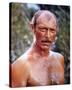 Lee Van Cleef-null-Stretched Canvas