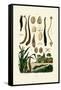 Leech, 1833-39-null-Framed Stretched Canvas