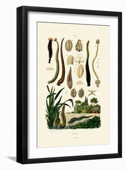 Leech, 1833-39-null-Framed Giclee Print