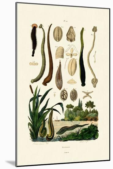 Leech, 1833-39-null-Mounted Giclee Print