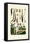 Leech, 1833-39-null-Framed Stretched Canvas