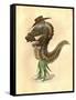 Leech 1873 'Missing Links' Parade Costume Design-Charles Briton-Framed Stretched Canvas