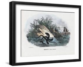 Leeches, 1863-79-Raimundo Petraroja-Framed Giclee Print