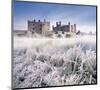 Leeds Castle-Kent-null-Mounted Art Print