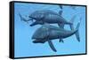 Leedsichthys Fish About to Swallow an Ichthyosaurus Marine Reptile-null-Framed Stretched Canvas