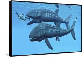 Leedsichthys Fish About to Swallow an Ichthyosaurus Marine Reptile-null-Framed Stretched Canvas