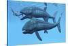 Leedsichthys Fish About to Swallow an Ichthyosaurus Marine Reptile-null-Stretched Canvas