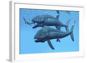 Leedsichthys Fish About to Swallow an Ichthyosaurus Marine Reptile-null-Framed Art Print