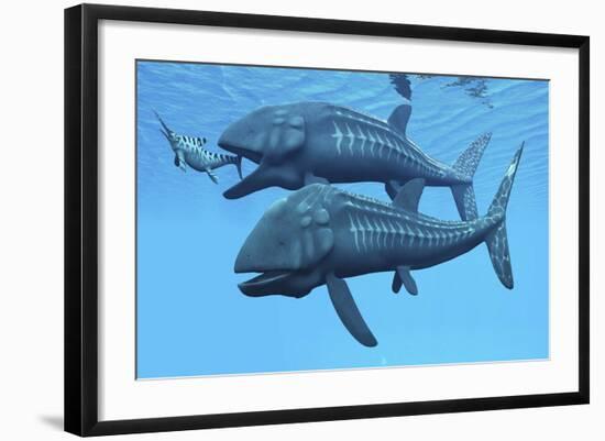 Leedsichthys Fish About to Swallow an Ichthyosaurus Marine Reptile-null-Framed Art Print