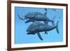 Leedsichthys Fish About to Swallow an Ichthyosaurus Marine Reptile-null-Framed Art Print