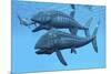 Leedsichthys Fish About to Swallow an Ichthyosaurus Marine Reptile-null-Mounted Art Print