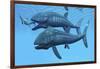 Leedsichthys Fish About to Swallow an Ichthyosaurus Marine Reptile-null-Framed Art Print