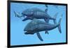 Leedsichthys Fish About to Swallow an Ichthyosaurus Marine Reptile-null-Framed Art Print