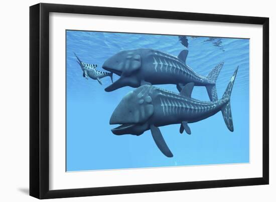 Leedsichthys Fish About to Swallow an Ichthyosaurus Marine Reptile-null-Framed Art Print
