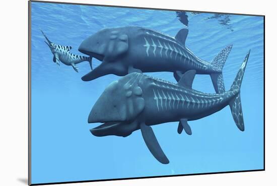 Leedsichthys Fish About to Swallow an Ichthyosaurus Marine Reptile-null-Mounted Art Print