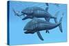 Leedsichthys Fish About to Swallow an Ichthyosaurus Marine Reptile-null-Stretched Canvas