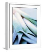 Leek Stalks-Steve Baxter-Framed Photographic Print