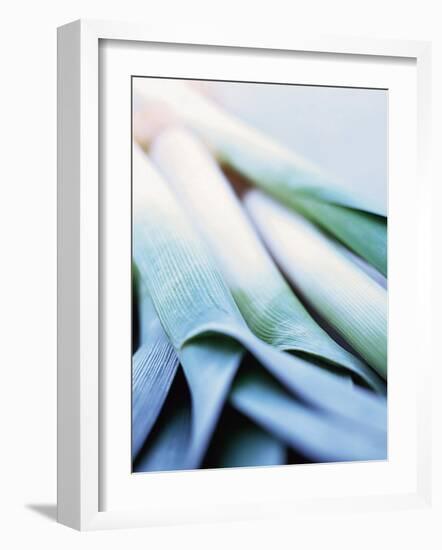 Leek Stalks-Steve Baxter-Framed Photographic Print