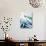 Leek Stalks-Steve Baxter-Photographic Print displayed on a wall