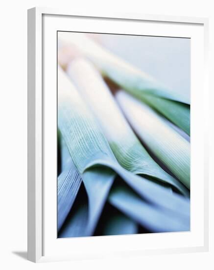 Leek Stalks-Steve Baxter-Framed Photographic Print