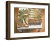 Leeks, 1980-Sandra Lawrence-Framed Giclee Print