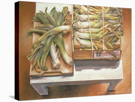 Leeks, 1980-Sandra Lawrence-Stretched Canvas