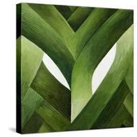 Leeks, 2013-Jennifer Abbott-Stretched Canvas