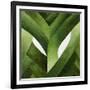 Leeks, 2013-Jennifer Abbott-Framed Giclee Print