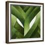 Leeks, 2013-Jennifer Abbott-Framed Giclee Print