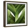 Leeks, 2013-Jennifer Abbott-Framed Giclee Print