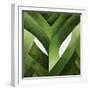 Leeks, 2013-Jennifer Abbott-Framed Giclee Print