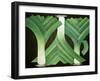 Leeks, 2014-Jennifer Abbott-Framed Giclee Print