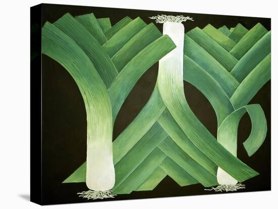 Leeks, 2014-Jennifer Abbott-Stretched Canvas