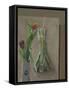 Leeks Suspended, 2014-William Packer-Framed Stretched Canvas