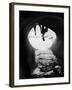 Leeveo-Craig Satterlee-Framed Photographic Print