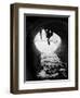 Leeveo-Craig Satterlee-Framed Photographic Print