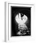 Leeveo-Craig Satterlee-Framed Photographic Print