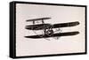 Lefebvre in Wright Plane-null-Framed Stretched Canvas