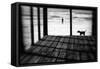 Left Behind-Paulo Abrantes-Framed Stretched Canvas