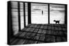 Left Behind-Paulo Abrantes-Stretched Canvas