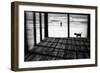 Left Behind-Paulo Abrantes-Framed Photographic Print