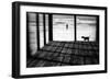 Left Behind-Paulo Abrantes-Framed Photographic Print