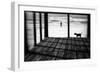 Left Behind-Paulo Abrantes-Framed Photographic Print