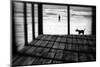 Left Behind-Paulo Abrantes-Mounted Photographic Print