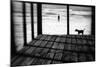 Left Behind-Paulo Abrantes-Mounted Photographic Print