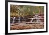 Left Fork Virgin River Zion National Park, Utah, USA-John Ford-Framed Photographic Print